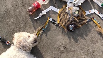 Proyek tersebut pun viral hingga orang-orang lain juga terinspirasi membuat karya dari sampah seperti Dominique. (Foto: Instagram/allthatisshe)