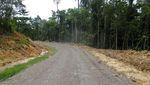 Indahnya Jalan Trans Papua ke Kawasan Wisata Papua Barat