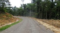 Windesi - Sp. Goro Menuju Bts. Provinsi Papua (Akses Menuju Pulau Roon). Pool/BP Jalan Nasional XVII Manokwari.