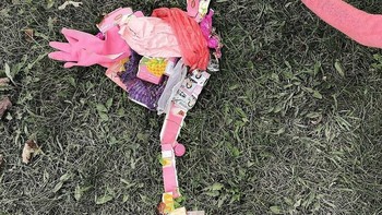Hanya dalam 30 menit tim kami mengumpulkan lebih dari selusin kantong sampah senilai sampah dari bagian kecil pantai. ujarnya seperti dilansir dari Boredpanda. (Foto: Instagram/allthatisshe)