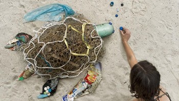 Karyanya menjadi viral saat memposting foto penyu yang ia susun dari sampah. (Foto: Instagram/allthatisshe)