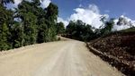Indahnya Jalan Trans Papua ke Kawasan Wisata Papua Barat