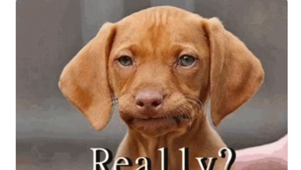 Chelsea vs MU Seru, Ramai Meme-meme Lucu