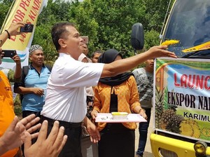 Kementan Lepas Ekspor Perdana Nanas dan Pisang Karimun ke Singapura