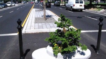 Taman Mill Ends merupakan taman terkecil di dunia yang terletak di Oregon, Portland, Amerika. Taman ini hanya memiliki luas 0,2 meter. Taman ini dibuat oleh seorang wartawan bernama Dick Fagan pada tahun 1948. (Foto: list25)