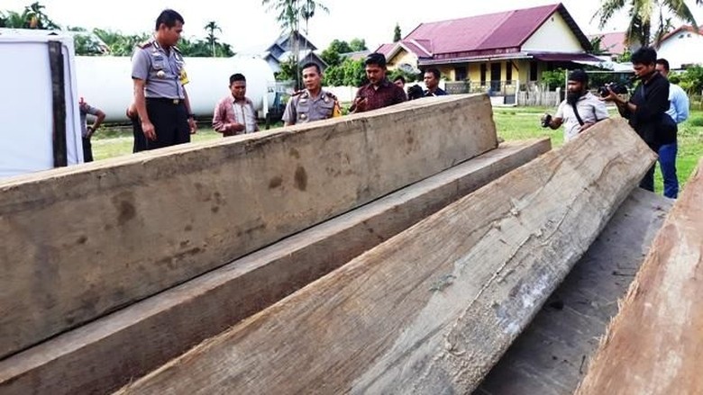 5 Pelaku Illegal Logging di Aceh Dibekuk, 10 Ton Kayu Diamankan 5 Pelaku Illegal Logging di Aceh Dibekuk, 10 Ton Kayu Diamankan