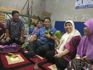 Nagari di Sumbar Ini Jadi Pemasok Alpukat untuk Asian Games 2018