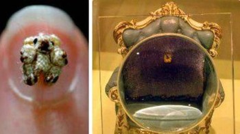 Boneka beruang terkecil dibuat oleh Cheryl Moss asal Afrika yang dibuat pada tahun 2006. Boneka ini dinamai Tiny Ted memiliki ukuran 4,5mm bahkan saking kecilnya bisa masuk ke kukumanusia. Boneka ini dapat diliat di museum Teddy Bear di Korea Selatan. (Foto: list25)