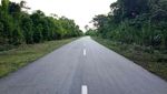 4 Tahun Jokowi-JK, Ini Penampakan Jalan Trans Papua