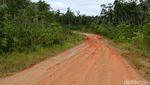 4 Tahun Jokowi-JK, Ini Penampakan Jalan Trans Papua