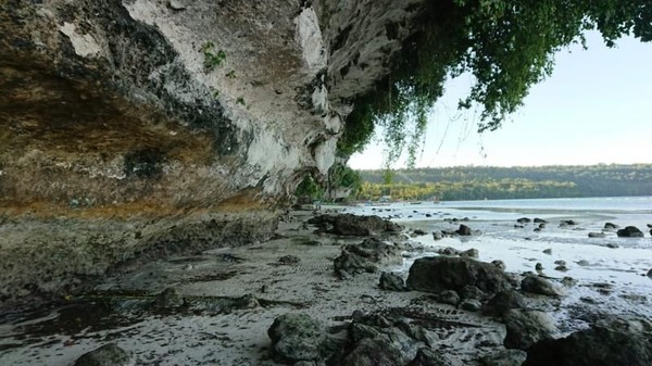 Di pantai bosnik wisatawan akan dimanjakan dengan pasir putih dan air laut yang jernih. Pengunjung juga dapat menikmati segarnya air kelapa muda di pantai. Hikmawati/dTraveler  Di pantai bosnik wisatawan akan dimanjakan dengan pasir putih dan air laut yang jernih. Pengunjung juga dapat menikmati segarnya air kelapa muda di pantai. Hikmawati/dTraveler Â