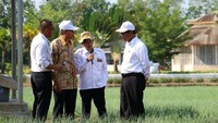 Generasi kita tak usah ragu, kita sudah punya solusi baru pangan Indonesia. Stok beras kita aman, ungkap Amran. Istimewa/Kementan.