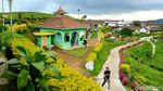 Foto: Kampung Bunga Probolinggo yang Cantik & Sejuk