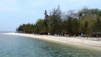 Pulau Panjang di Jepara Foto: (Udin Kudus/dTraveler)