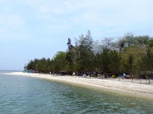 Serba-serbi Pulau Panjang Jepara: Lokasi, Rute, Jam Buka, Harga, Daya Tarik