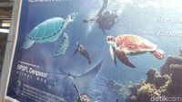 Foto: Ini adalah penangkaran penyu di Pantai Mapak Indah. Lokasinya tak jauh dari destinasi Makam Loang Baloq di Jalan Soedjojono, Lingkar Selatan, Mataram. (Harianto Nukman/detikTravel)