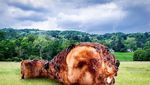 Keren! Fotografer Ini Edit Foto Makanan dengan Beragam Benda