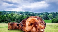 Pantas aja ayam bakarnya berukuran jumbo. Karyanya kali ini berjudul meteror. Kalau meteor punya rasa dan bentuk seperti ayam sih orang pada suka. Foto: Instagram jamespopsys