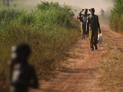 Internet Jadi Hal Langka di 5 Negara Ini