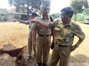 Pemkot Depok Tinjau Tanah Terbelah, Imbau Warga Tetap Tenang