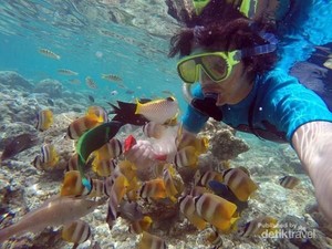 Wisata Selam Jadi Pemicu Pertumbuhan Wisman di Sulut Hingga 500%