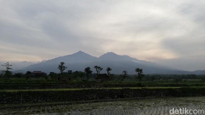 Alam Lereng Arjuno-Welirang