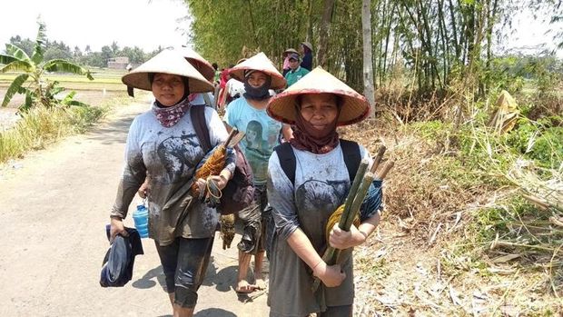 Serunya Melihat 40 Grup Emak-emak Jateng Lomba Tanam Padi