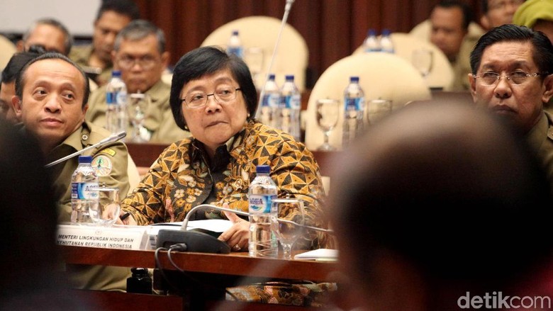 Greenomics Apresiasi Langkah Hukum KLHK Lawan Pembakar Hutan Greenomics Apresiasi Langkah Hukum KLHK Lawan Pembakar Hutan