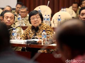 Menteri LHK: 80 Persen Sampah Laut Berasal dari Darat