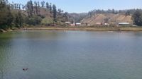 Danau Ranupane Kini Bersih dari Tumbuhan Salvinia