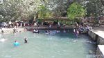 Foto: Bisa Berenang Bareng Ikan di Pasuruan