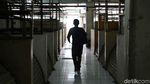 Mereka Bertahan di Kesepian Blok G Tanah Abang