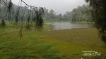 Foto: Danau Ranu Pani yang Kini Bersih