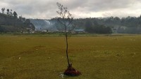 Berbagai upaya dilakukan untuk menghilangkan Salvinia dari Ranu Pani sejak tahun lalu oleh Balai Besar Taman Nasional Bromo Tengger Semeru selaku pengelola kawasan, bersama Pemerintah Kabupaten Lumajang, pegiat lingkungan gencar memberantas salvinia (Istimewa)