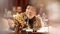 Komisi IV DPR menggelar rapat kerja bersama Menteri Lingkungan Hidup dan Kehutanan, Siti Nurbaya di Komplek Parlemen, Senayan, Jakarta, Senin (22/10/2018).