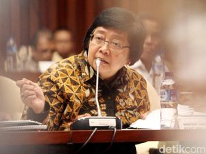 Rapat Bersama DPR, Menteri Siti Bahas soal Habitat Gajah