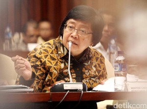 970.000 Ha Hutan Diberikan ke Masyarakat untuk Rumah hingga Kebun