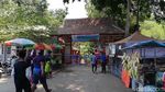 Foto: Bisa Berenang Bareng Ikan di Pasuruan
