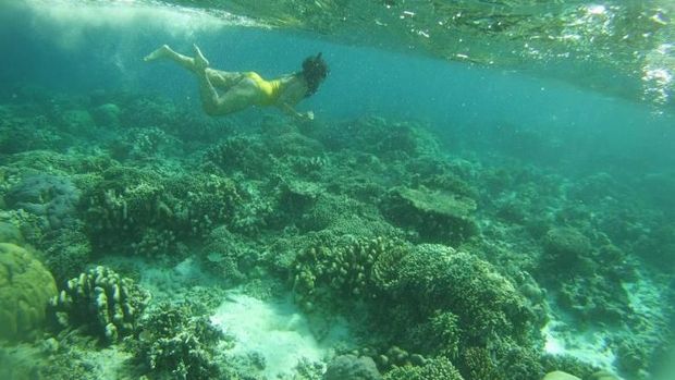 Ini Paket Wisata Alam Lengkap Buat Liburan di Sulawesi Selatan