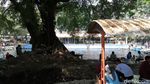 Foto: Bisa Berenang Bareng Ikan di Pasuruan
