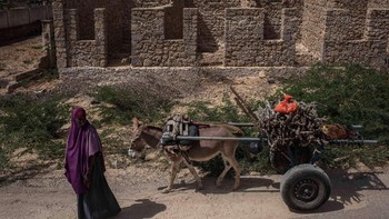 Hanya 1,9% dari total penduduknya yang terkoneksi internet. Foto: Getty Images