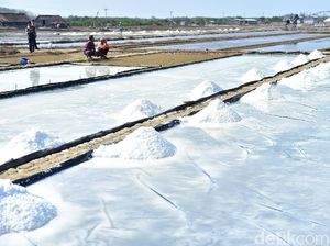 Produksi Garam di Lamongan Lampaui Target, Ini Inovasinya
