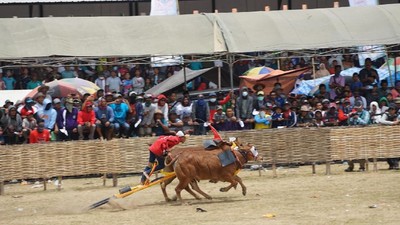 Foto: Karapan Sapi Madura yang Seru Banget