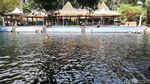 Foto: Bisa Berenang Bareng Ikan di Pasuruan