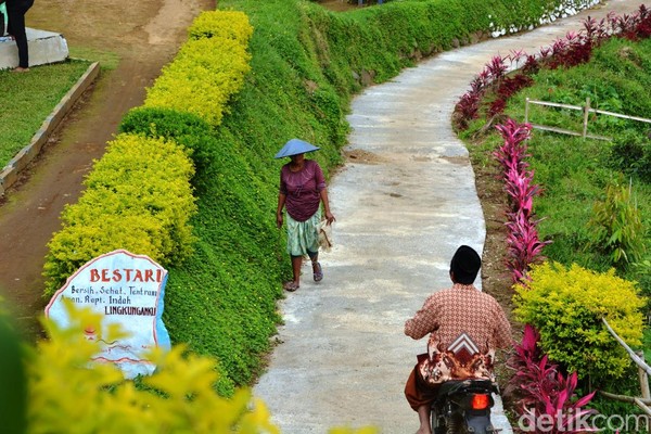 Foto: Kampung Bunga Probolinggo yang Cantik & Sejuk - Foto 4