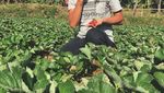 Aksi Keren David John Schaap MTMA, Saat Ngopi hingga Makan Sate Bekicot