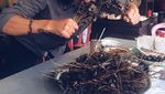Aksi Keren David John Schaap MTMA, Saat Ngopi hingga Makan Sate Bekicot