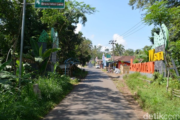 Foto Kampung Bunga  Probolinggo yang Cantik Sejuk Foto 2