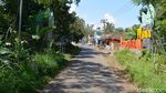 Foto: Kampung Bunga Probolinggo yang Cantik & Sejuk