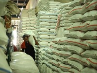 Punya Metode Baru, BPS Tak Lagi Ramal Angka Produksi Beras
